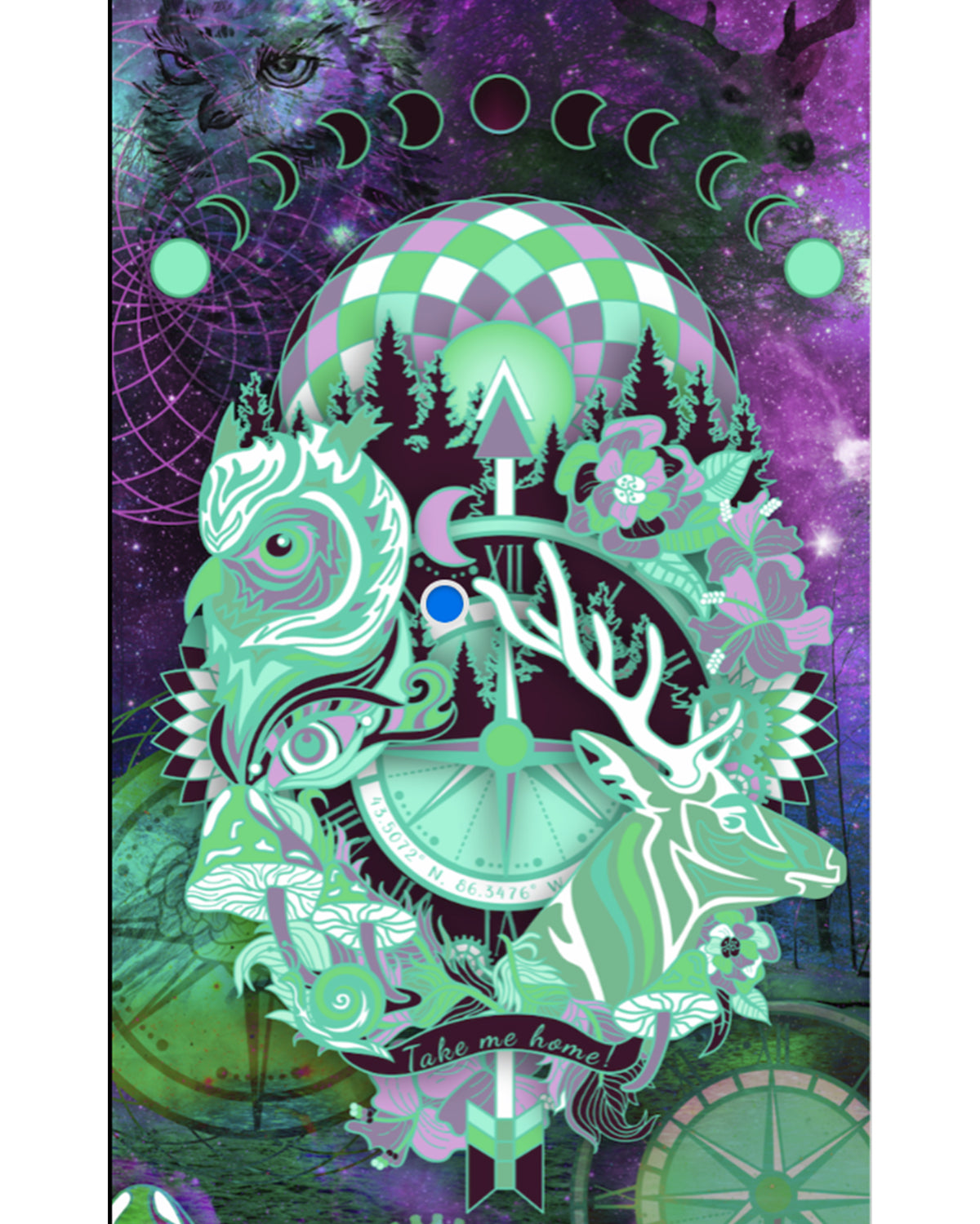 ENCHANTED COMPASS