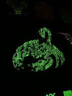 Apex Scorpion Pin - Black