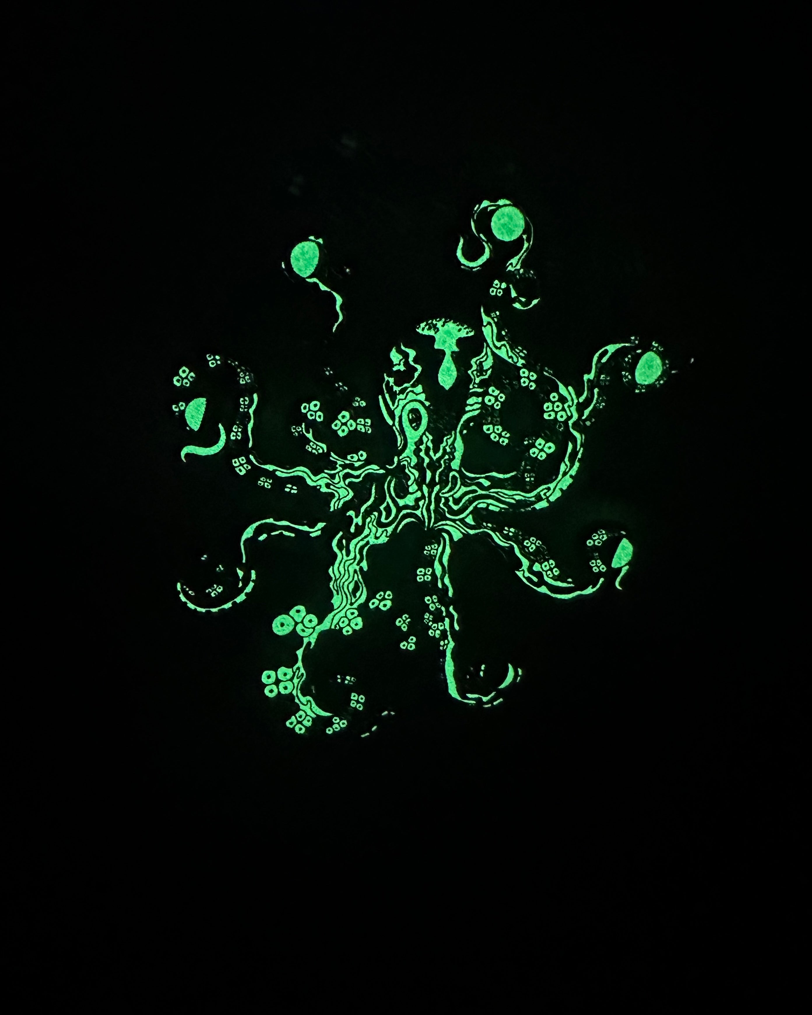 Cosmic Octopus Pin - Rainbow Anodized
