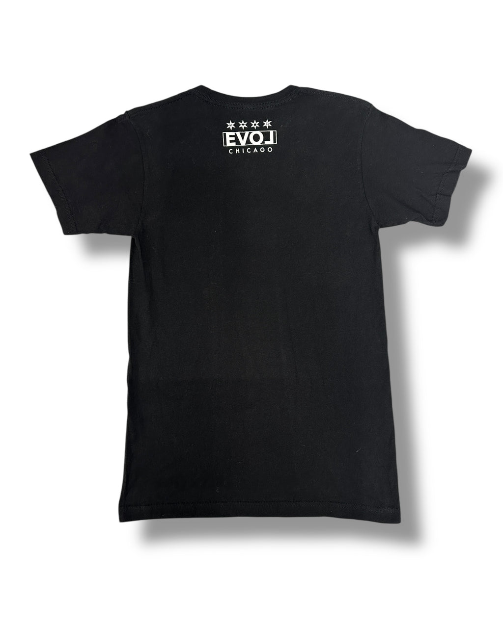 Birthplace Of House Music T-Shirt*