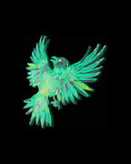 EVOL AFTERS Seer Pin Large - Green