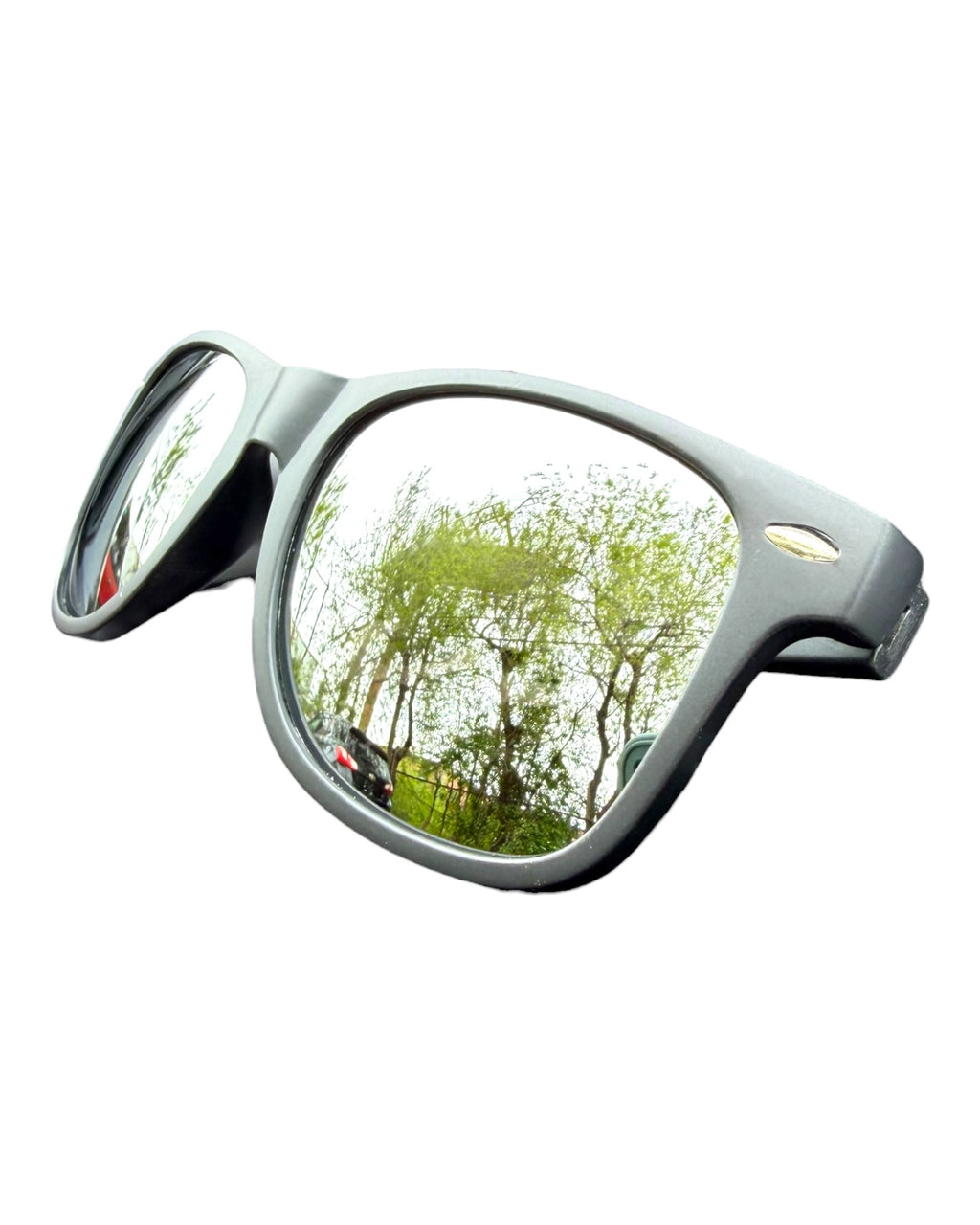 EVOL Sunglasses - Silver